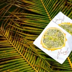 Banner Altamar Visual Studio 06