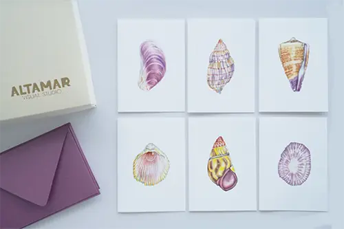 Banner Linea Cartoleria